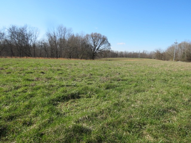 0 Tom Woods Road Flintville, TN 37335 - Photo 17 of 31 Gallery Image 17
