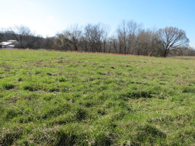 0 Tom Woods Road Flintville, TN 37335 - Photo 18 of 31 Gallery Image 18
