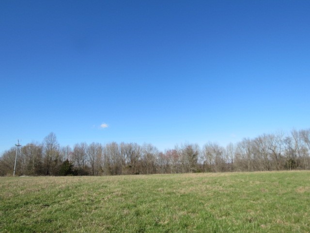 0 Tom Woods Road Flintville, TN 37335 - Photo 19 of 31 Gallery Image 19