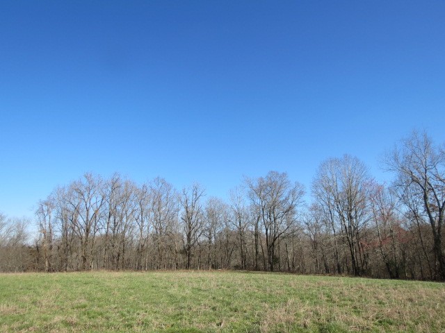 0 Tom Woods Road Flintville, TN 37335 - Photo 20 of 31 Gallery Image 20