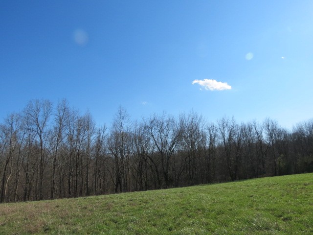 0 Tom Woods Road Flintville, TN 37335 - Photo 21 of 31 Gallery Image 21