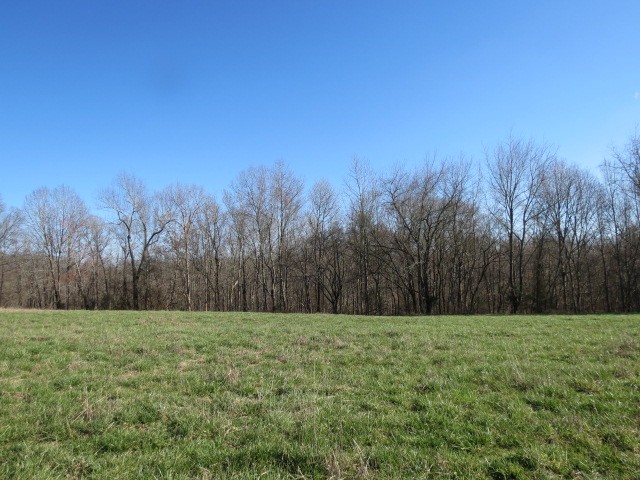 0 Tom Woods Road Flintville, TN 37335 - Photo 23 of 31 Gallery Image 23