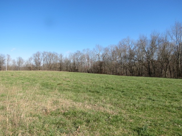 0 Tom Woods Road Flintville, TN 37335 - Photo 25 of 31 Gallery Image 25