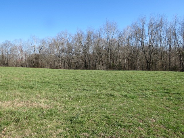 0 Tom Woods Road Flintville, TN 37335 - Photo 26 of 31 Gallery Image 26