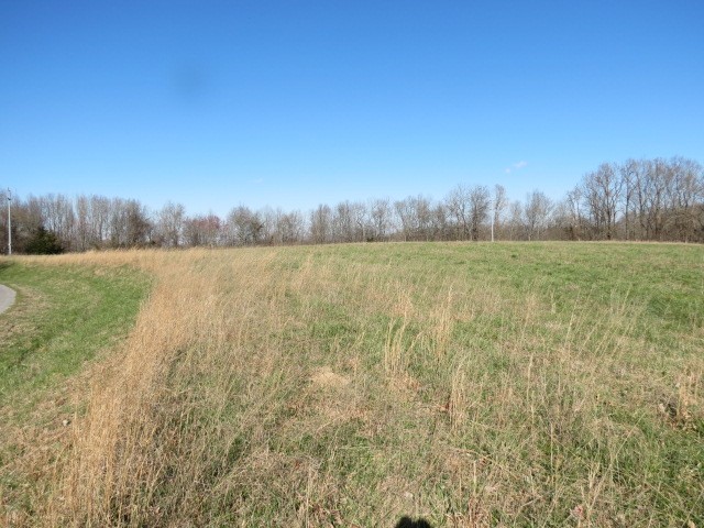 0 Tom Woods Road Flintville, TN 37335 - Photo 27 of 31 Gallery Image 27