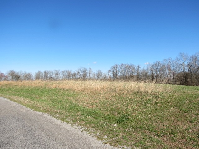 0 Tom Woods Road Flintville, TN 37335 - Photo 29 of 31 Gallery Image 29