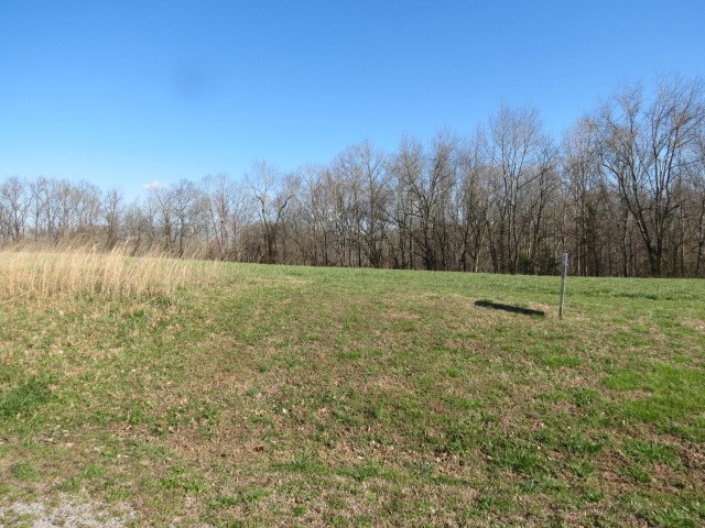 0 Tom Woods Road Flintville, TN 37335 - Photo 31 of 31 Gallery Image 31