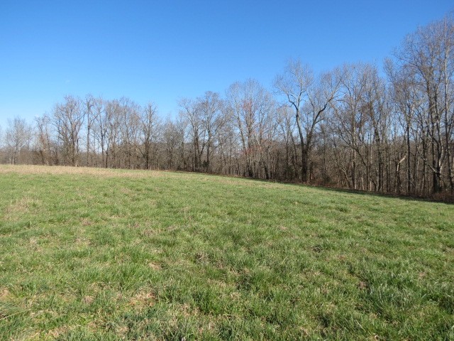 Gallery Image 7