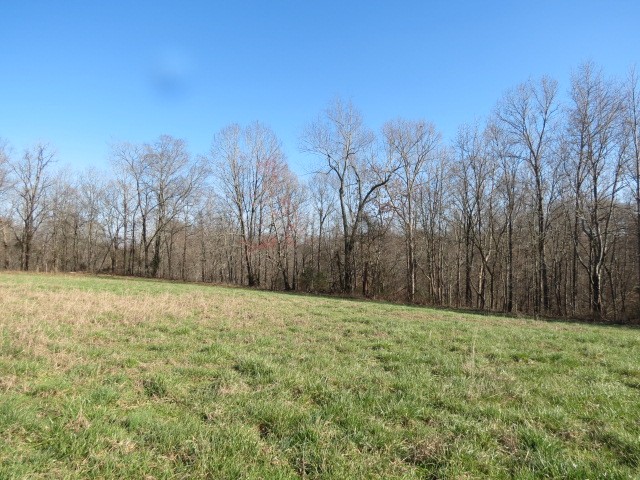 0 Tom Woods Road Flintville, TN 37335 - Photo 8 of 31 Gallery Image 8