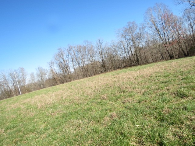 0 Tom Woods Road Flintville, TN 37335 - Photo 9 of 31 Gallery Image 9