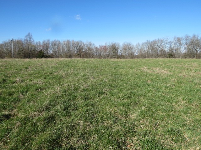 0 Tom Woods Road Flintville, TN 37335 - Photo 10 of 31 Gallery Image 10