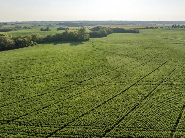 $1,736,300 | 350th Street, Barnard, MO 64423