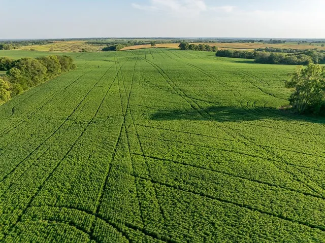 $1,736,300 | 350th Street, Barnard, MO 64423