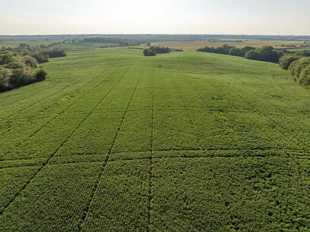 $1,736,300 | 350th Street, Barnard, MO 64423