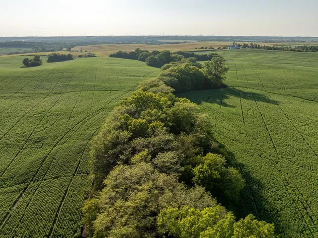 $1,736,300 | 350th Street, Barnard, MO 64423