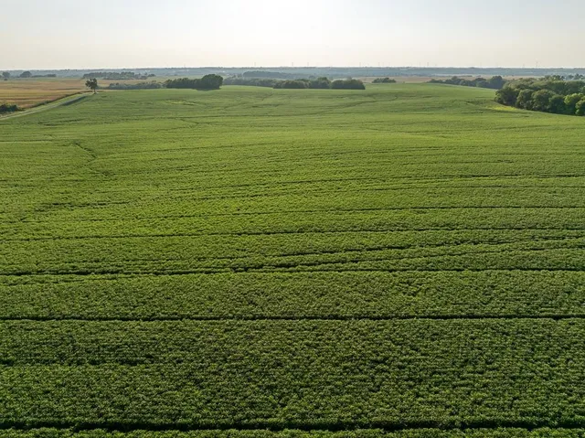 $1,736,300 | 350th Street, Barnard, MO 64423