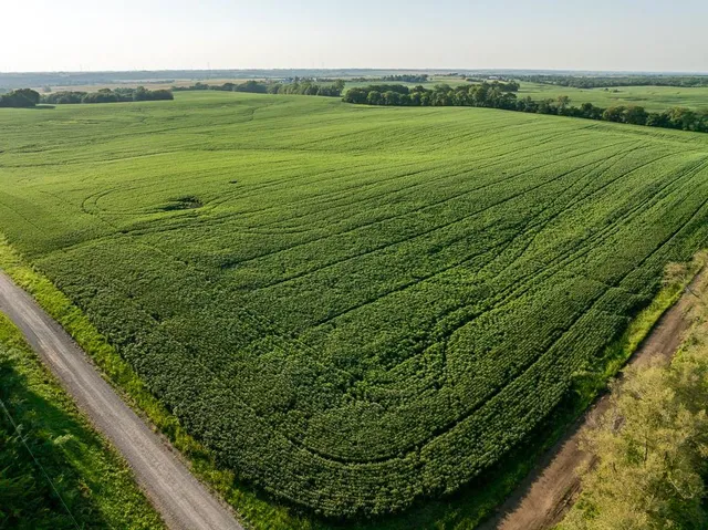 $1,736,300 | 350th Street, Barnard, MO 64423