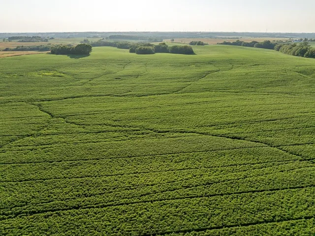 $1,736,300 | 350th Street, Barnard, MO 64423