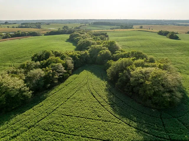 $1,736,300 | 350th Street, Barnard, MO 64423