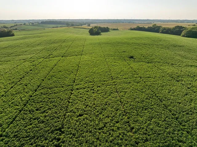 $1,736,300 | 350th Street, Barnard, MO 64423