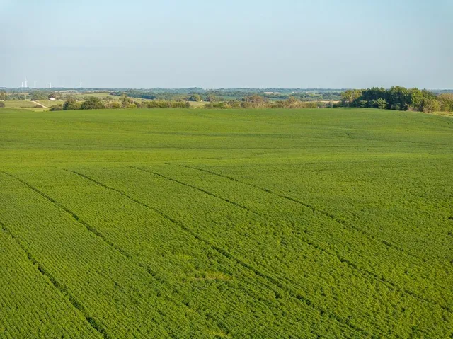 $1,736,300 | 350th Street, Barnard, MO 64423