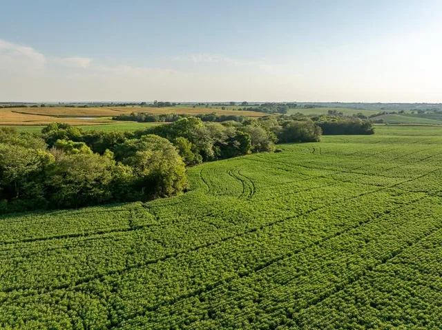 $1,736,300 | 350th Street, Barnard, MO 64423