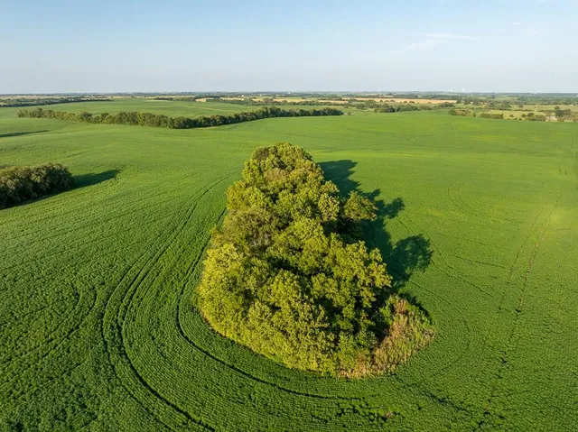 $1,736,300 | 350th Street, Barnard, MO 64423