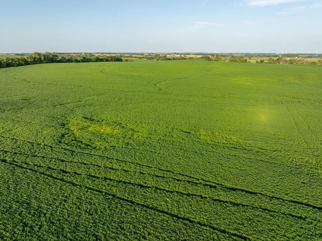 $1,736,300 | 350th Street, Barnard, MO 64423