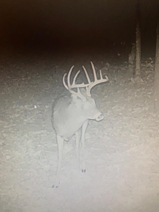 0 Holly Br Run Road Magnolia, KY 42757 - Photo 17 of 21 Gallery Image 17