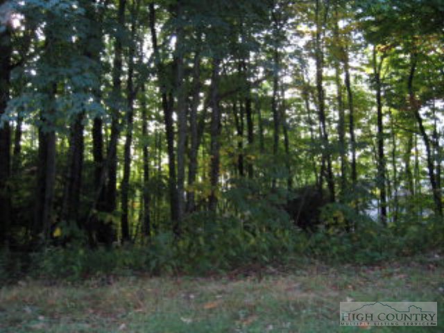 413 Pinnacle Ridge Road Beech Mountain, NC 28604 - Photo 1 of 1 Gallery Image 1