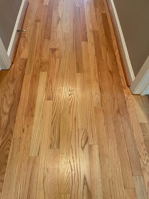 3895 Read Mountain Road Cloverdale, VA 24077 - Photo 22 of 33 Hardwood Floors