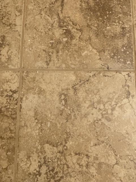 3895 Read Mountain Road Cloverdale, VA 24077 - Photo 27 of 33 Flooring