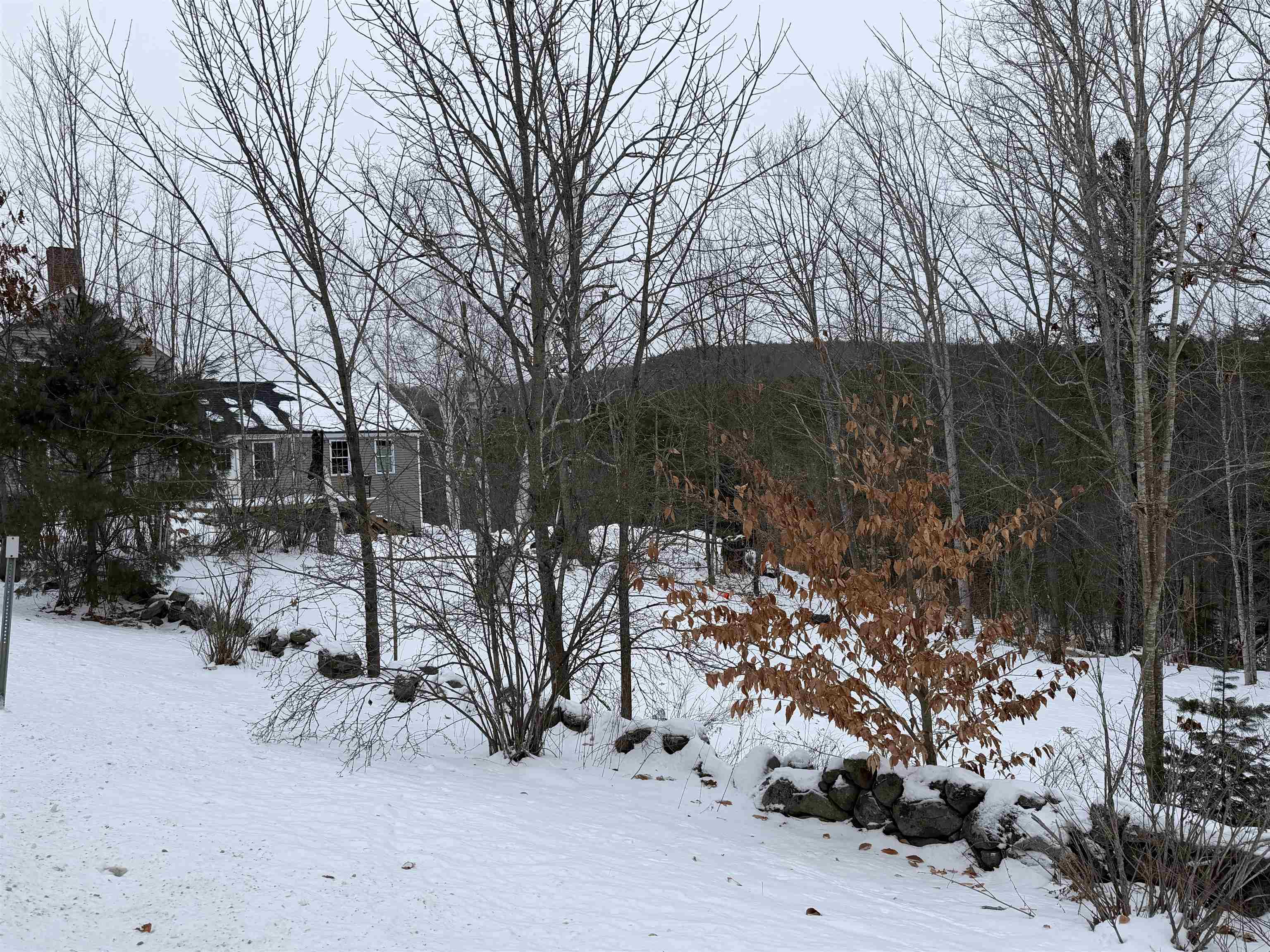 874 Battle Street Webster, NH 03303 - Photo 6 of 30