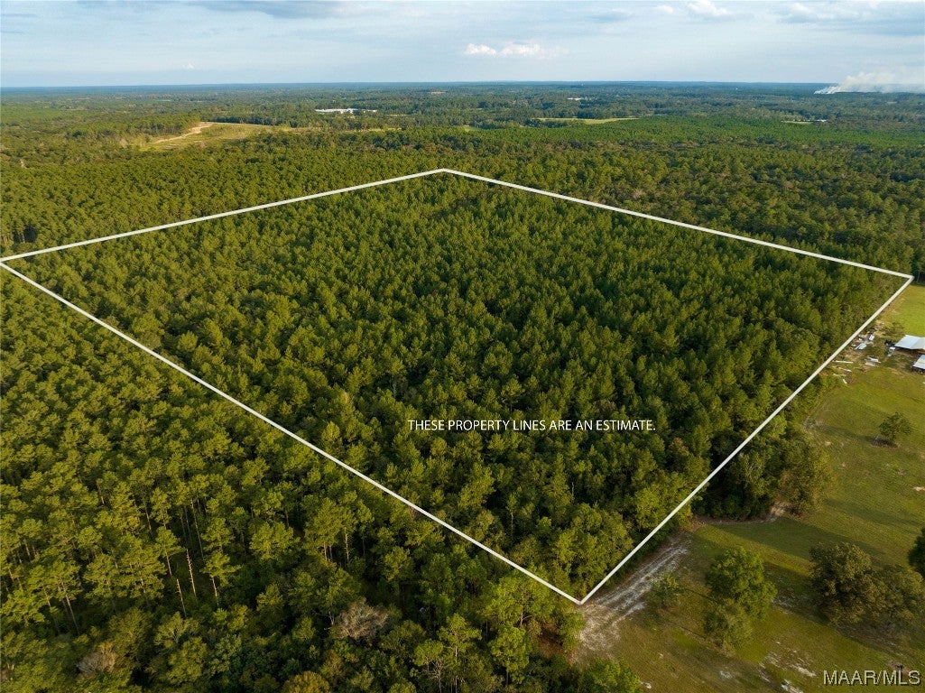 10 County Road 10 Samson, AL 36477 - Photo 21 of 22 Gallery Image 21