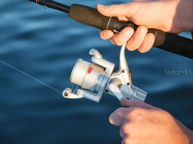 1103 Nackman Road North Port, FL 34288 - Photo 26 of 26 a view of entryway