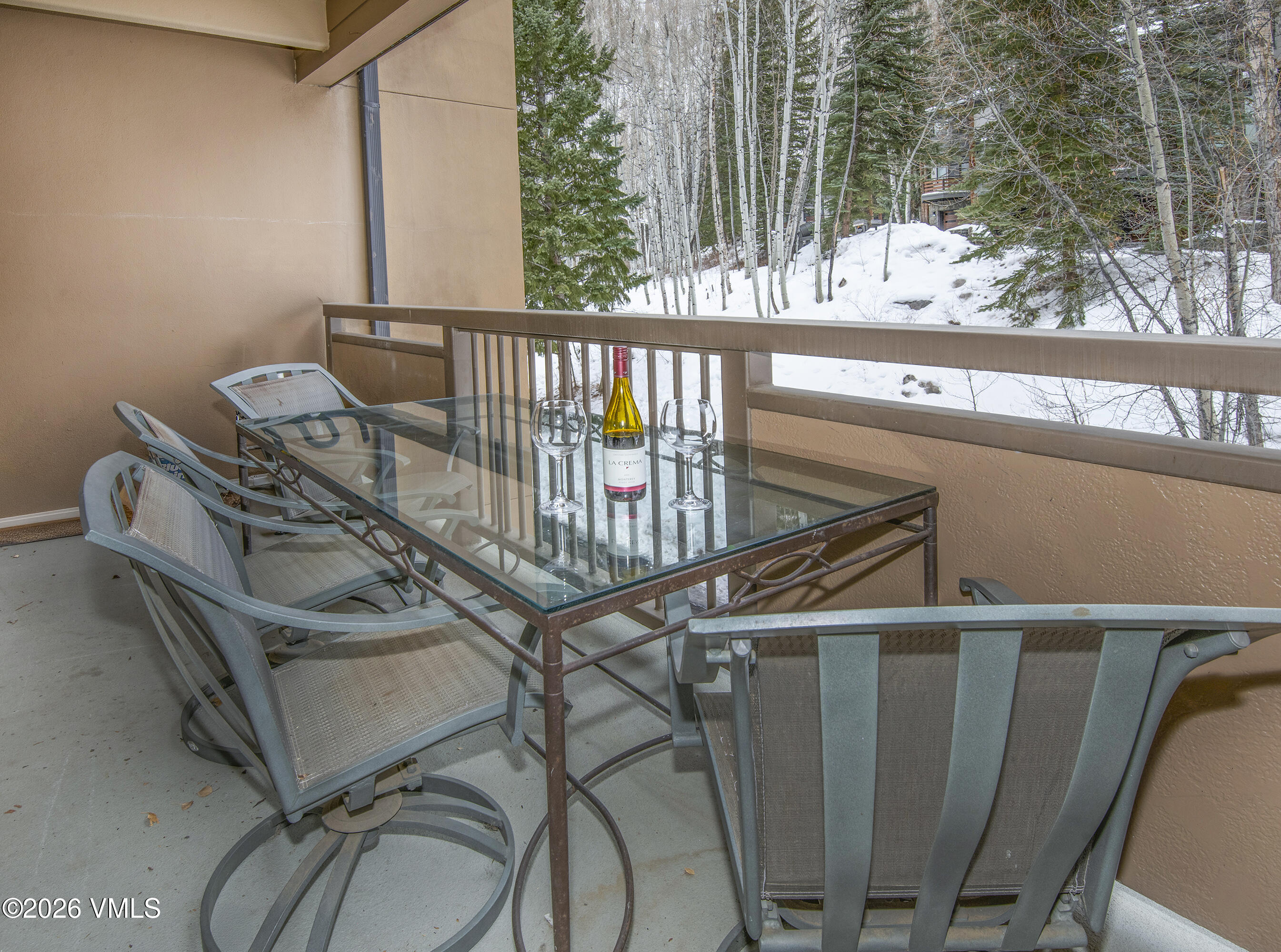 1650 Fall Ridge Road, Unit 202 Vail, CO 81657 - Photo 19 of 32 Oversized Deck