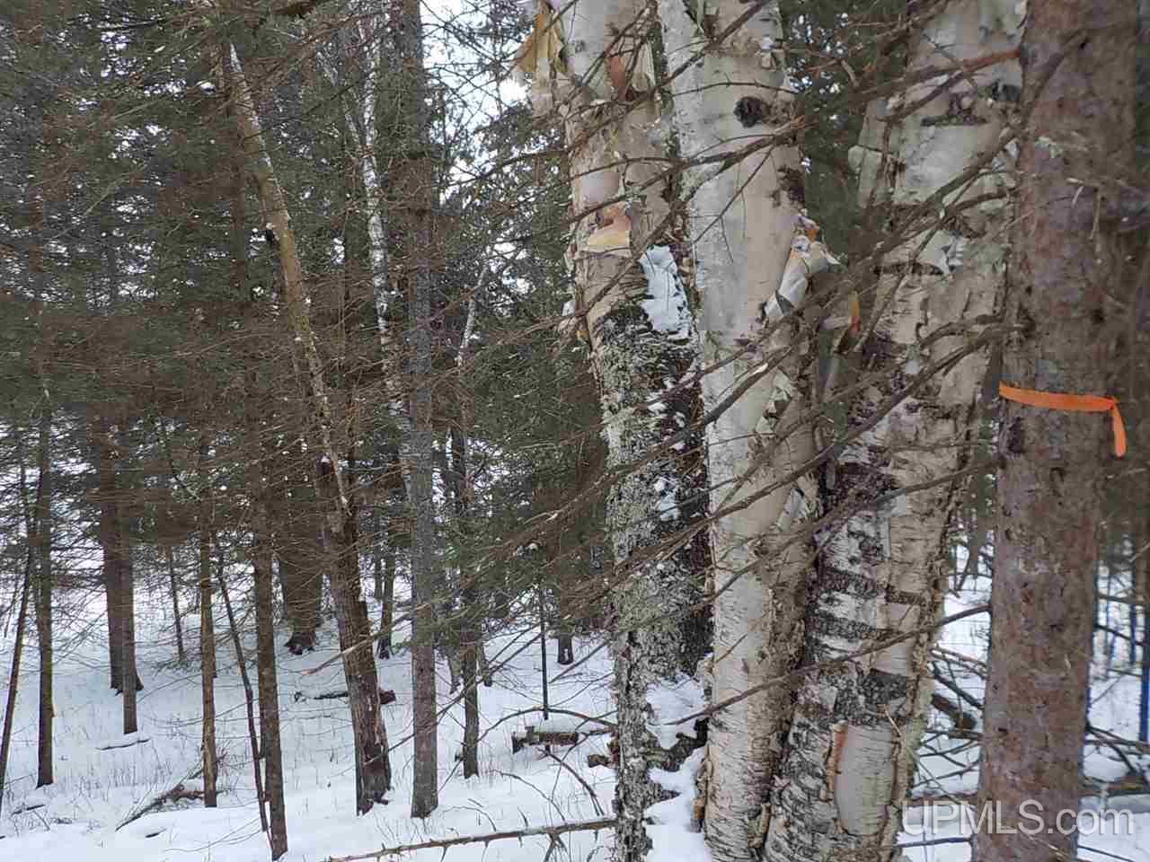 7 Ac /- Rock Crusher Road Crystal Falls, MI 49920 - Photo 5 of 10