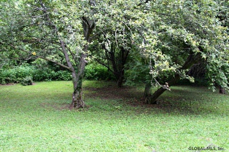 0 Evergreen Road Cobleskill, NY 12043 - Photo 5 of 8 Photo 5