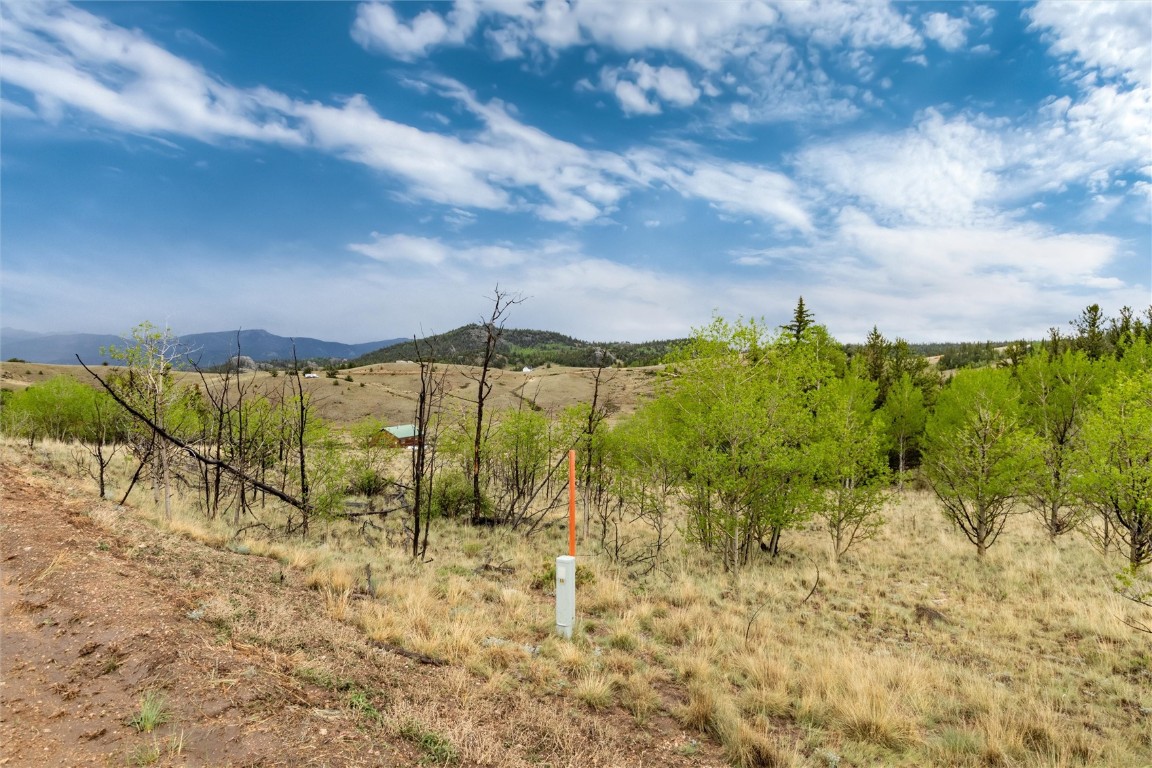 580 Arland Road Como, CO 80432 - Photo 5 of 28 a view of an outdoor space and a yard