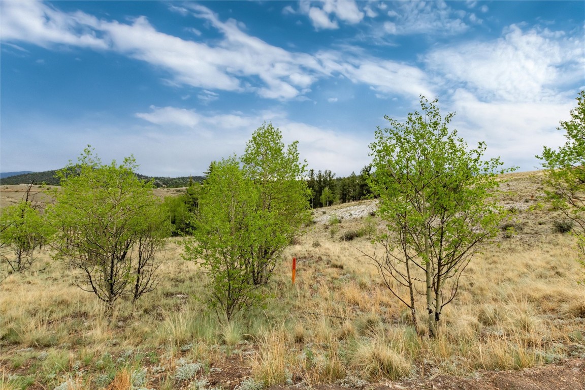 580 Arland Road Como, CO 80432 - Photo 7 of 28 a view of a yard with plants and wooden fence