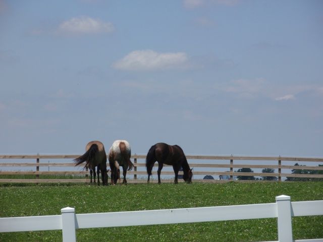 1436 Church Road Eureka, IL 61530 - Photo 9 of 15 Gallery Image 9