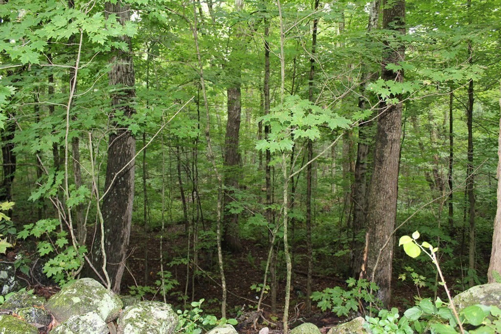 Lot 5 Cedar Swamp Road Monson, MA 01057 - Photo 3 of 7 Gallery Image 3