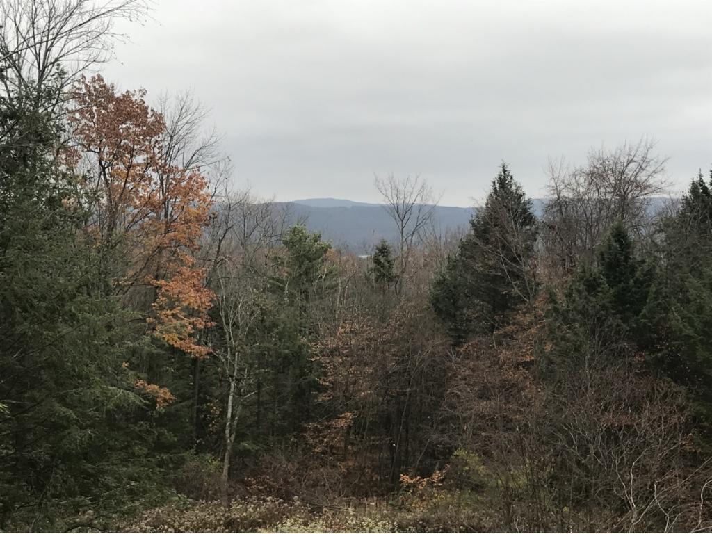 98 Ahern Road Binghamton, NY 13903 - Photo 32 of 32 Gallery Image 32
