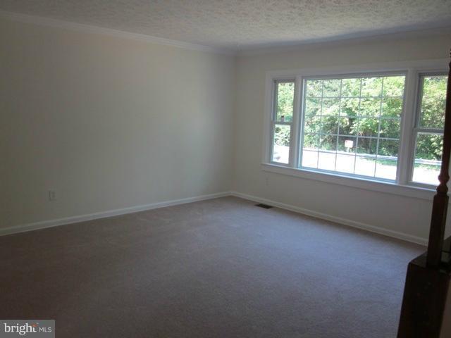 4805 Powder Mill Road Beltsville, MD 20705 - Photo 16 of 24 Living Room