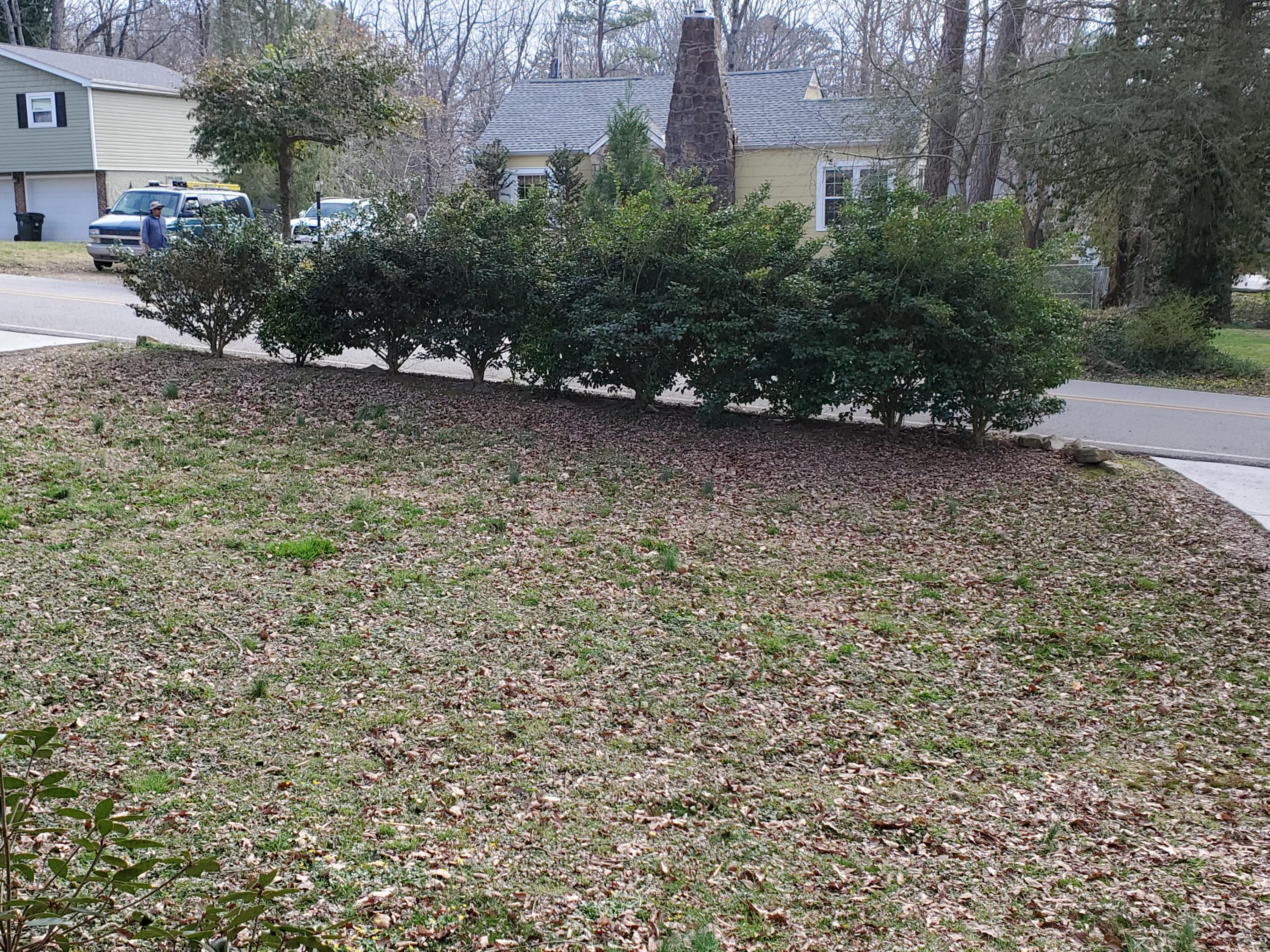 1009 Signal Road Signal Mountain, TN 37377 - Photo 2 of 13 Front Yard