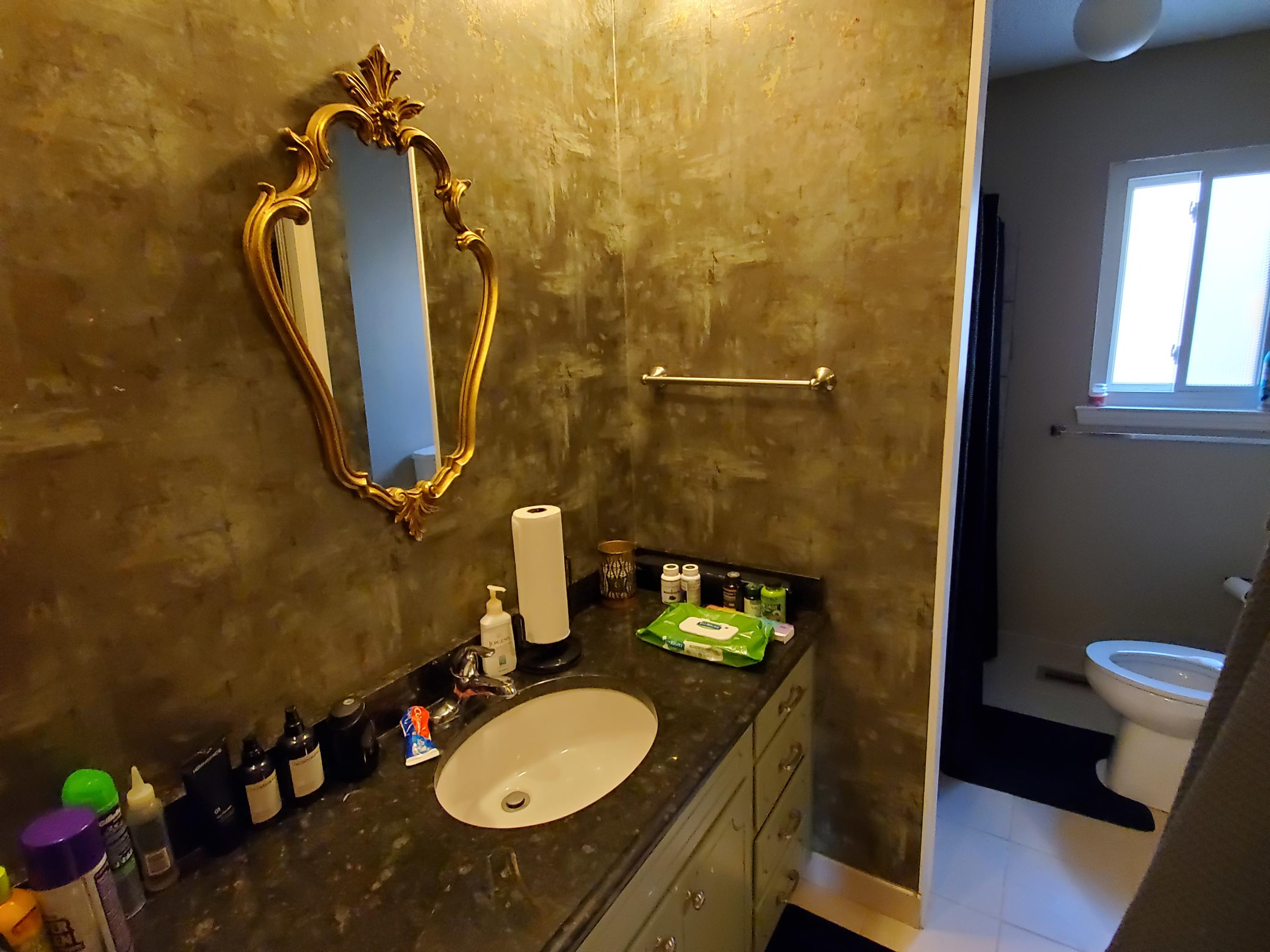 1009 Signal Road Signal Mountain, TN 37377 - Photo 9 of 13 Bathroom - Side A