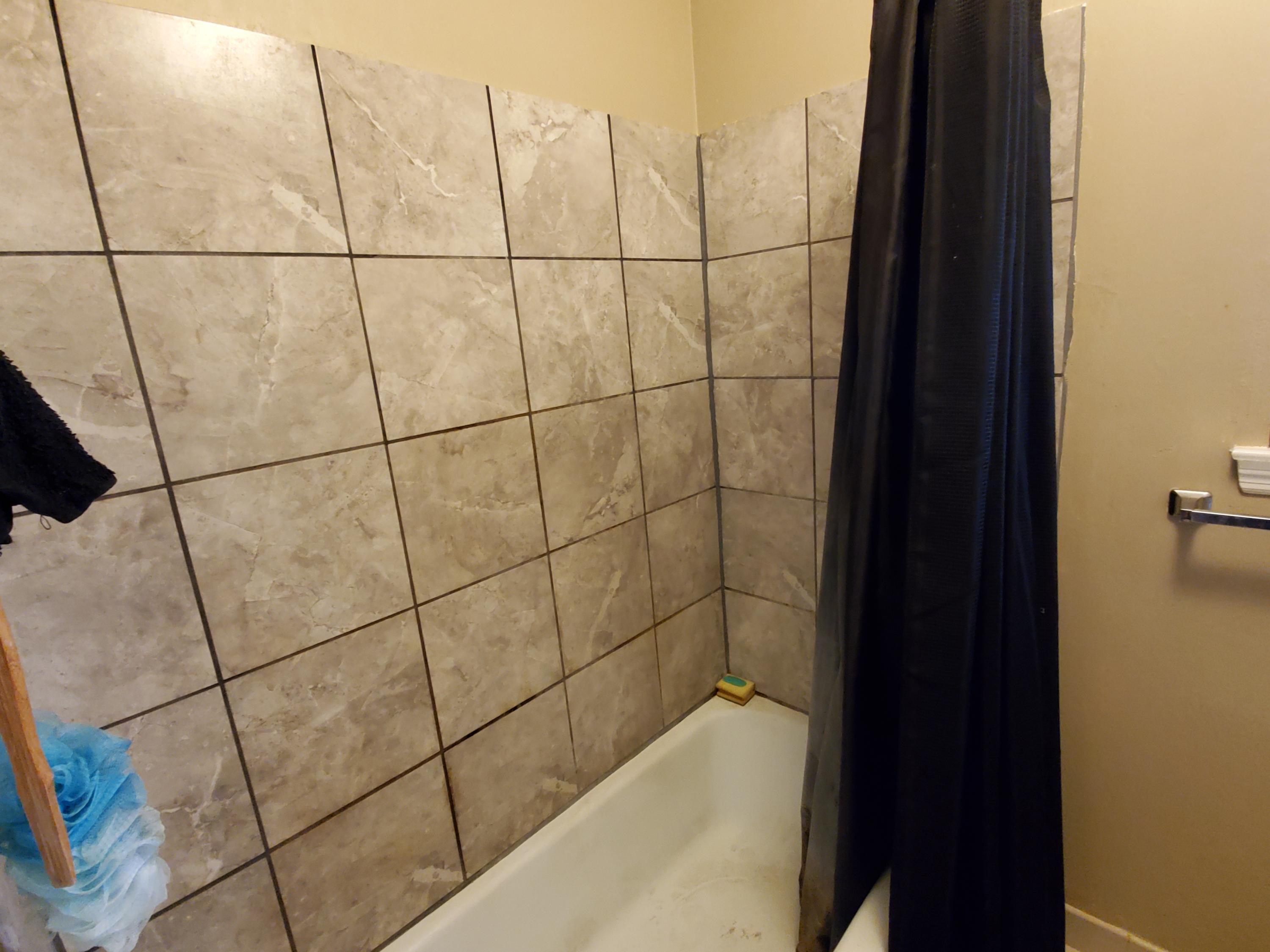 1009 Signal Road Signal Mountain, TN 37377 - Photo 10 of 13 Shower - Side A