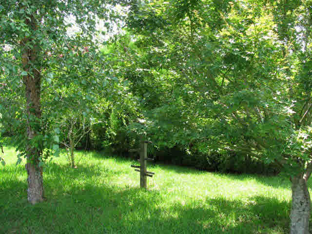 155 Pennbrooke Loop Foley, AL 36535 - Photo 29 of 32 Back Yard