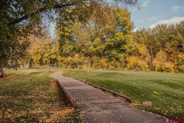 a view of a yard with an trees