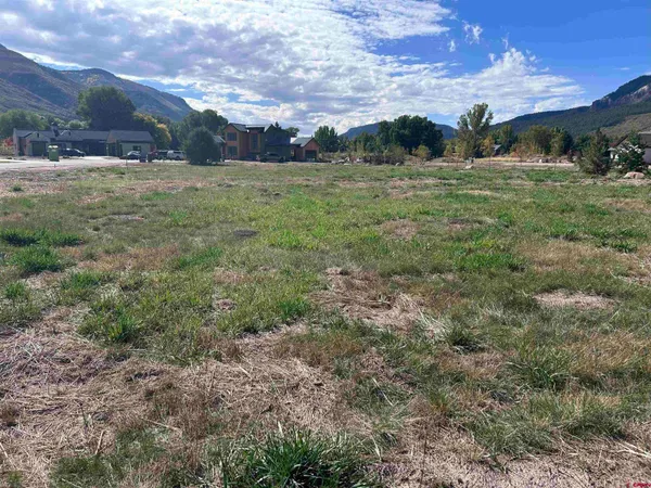 a view of a big yard with lots of green space
